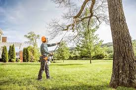 Best Tree Trimming and Pruning  in Azle, TX
