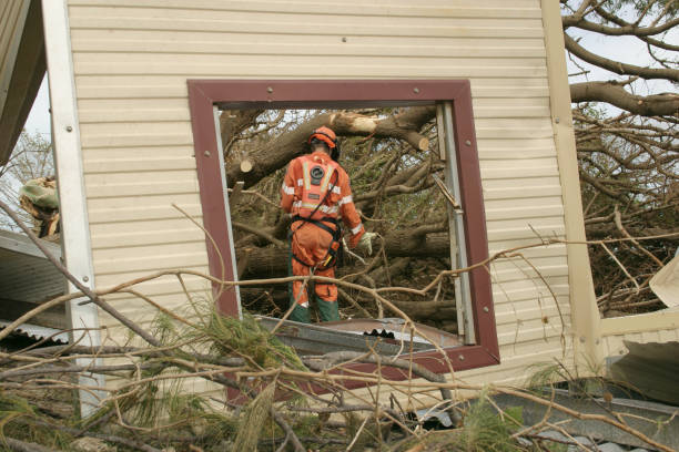Best Tree Cabling and Bracing  in Azle, TX